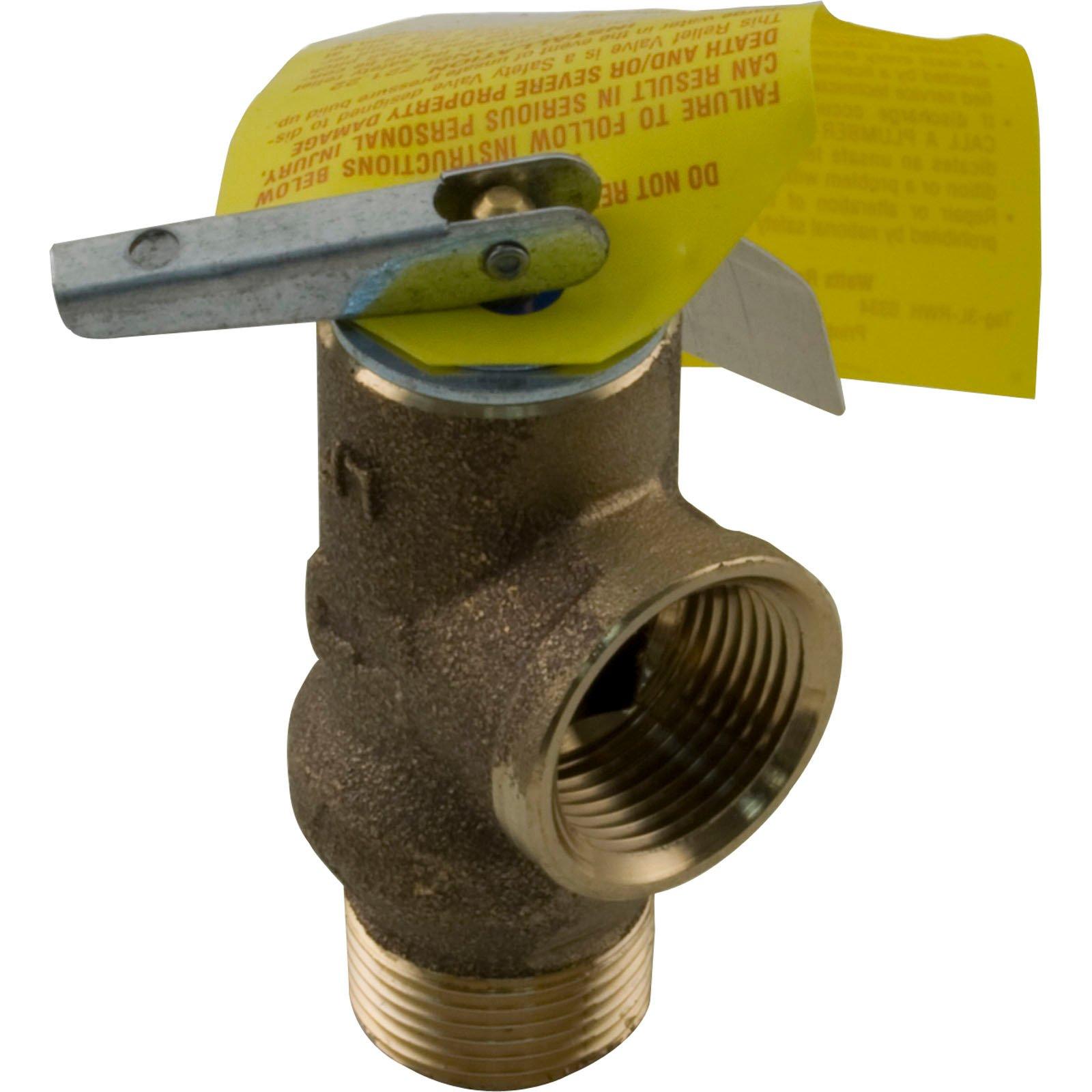 Raypak - 008091F Pressure Relief Valve, 125 PSI
