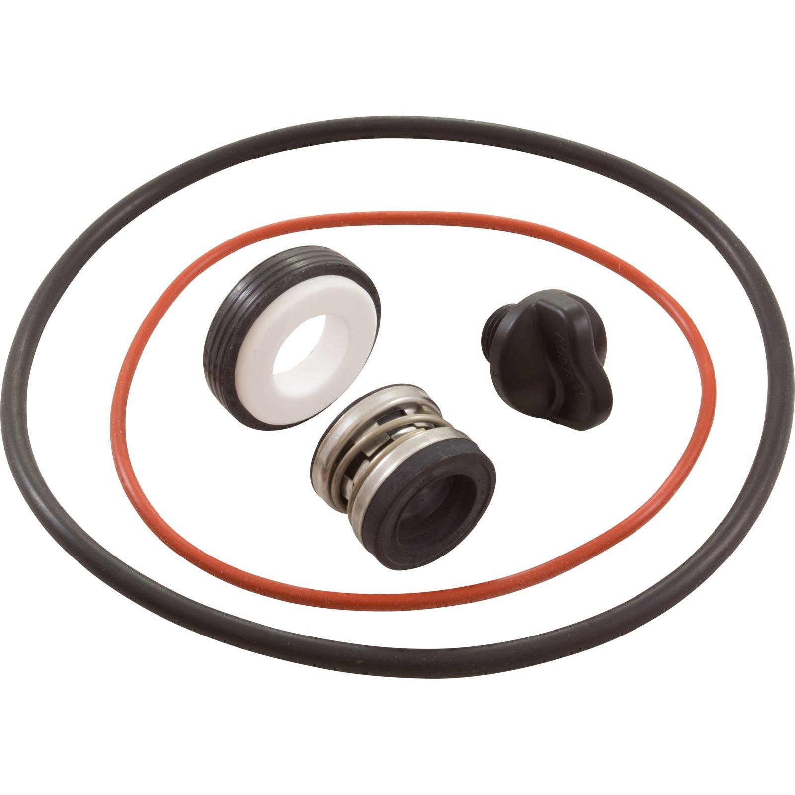 Polaris - R0734300 Seal Replacement Kit with Drain Plug for PB4SQ