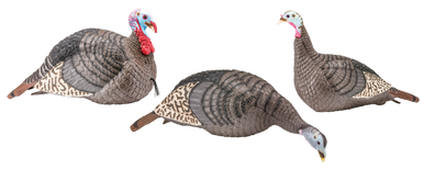 HS Strut-Lite Turkey Flock Decoys