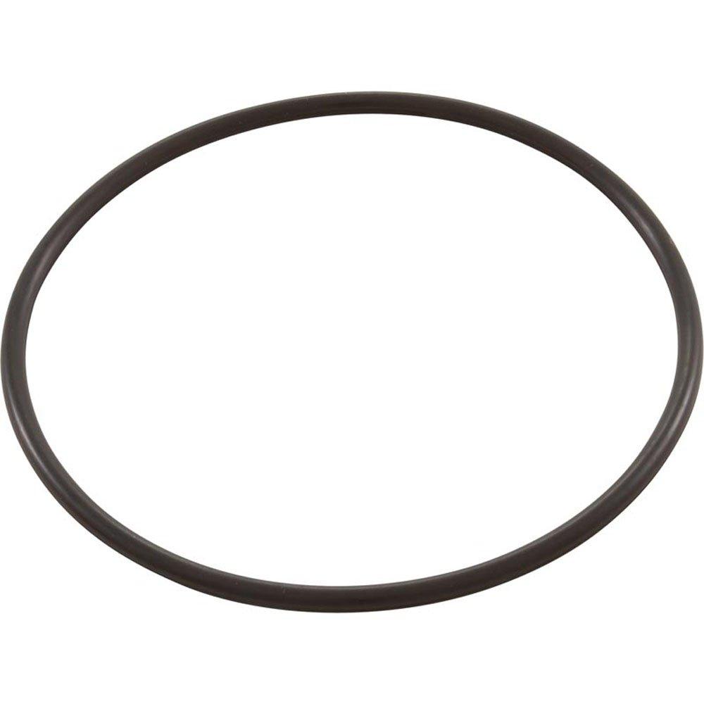 Zodiac - LXI Coupling O-Ring (Set of 2)